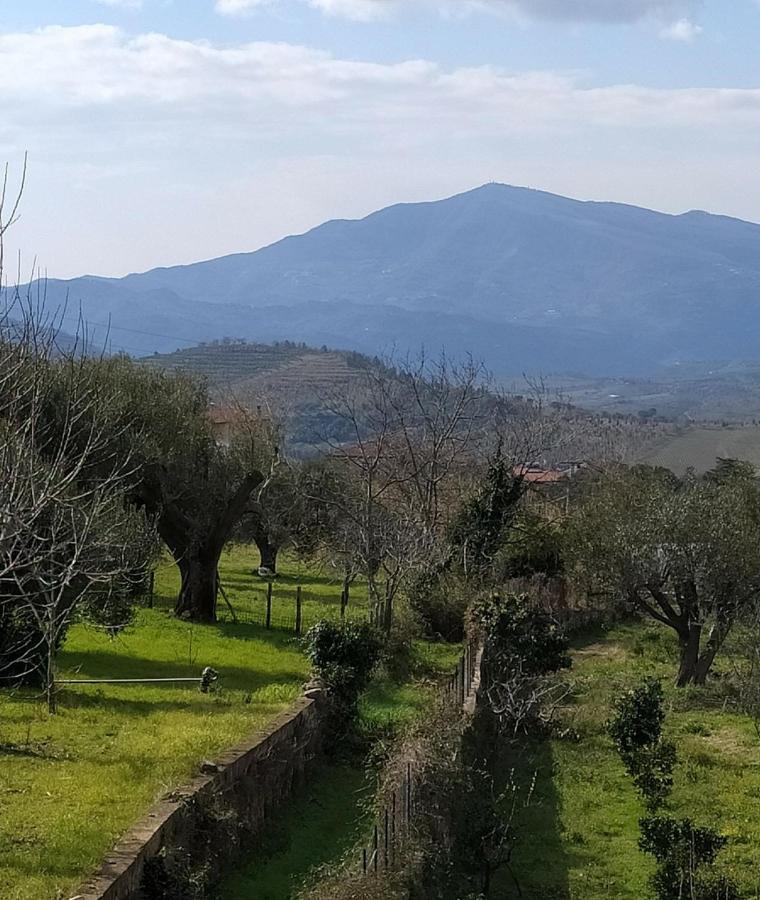 ヴァッロ・デッラ・ルカーニア Azienda Agricola Cafaro Grazia - Cilens Aureaヴィラ エクステリア 写真